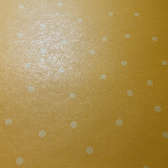 CTMH scrapbook paper - Picture 7 of 10